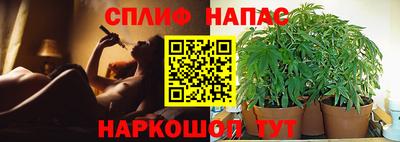 ПСИЛОЦИБИНОВЫЕ ГРИБЫ Жуковский