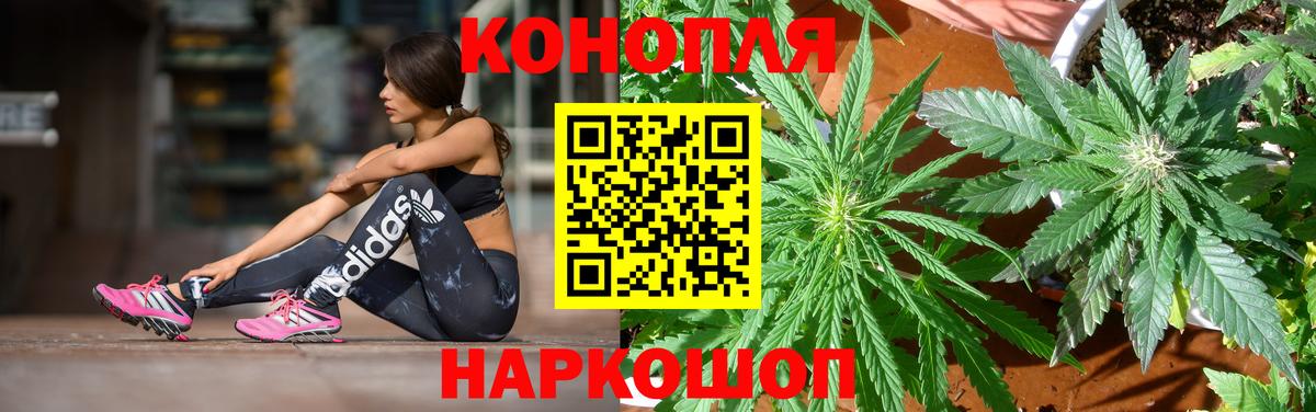 Шишки марихуана планчик  Бошки марихуана THC 21%  Кунгур  Бошки Шишки гибрид  Вход с VPN 